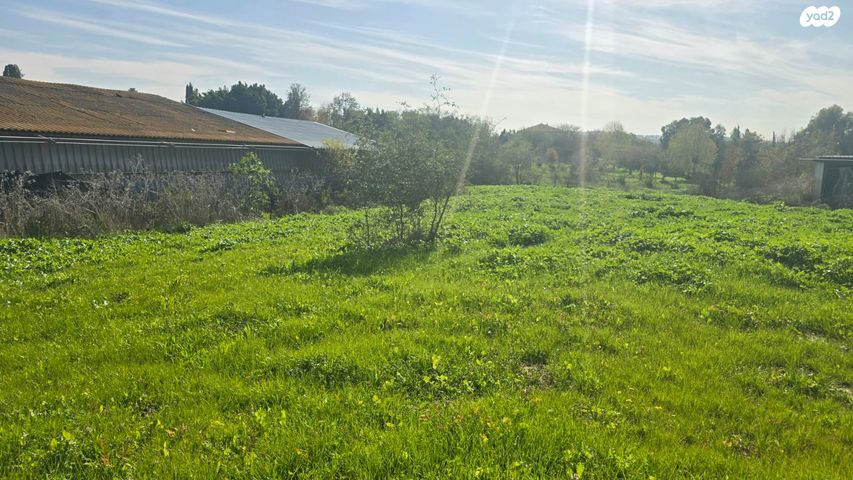 משק חקלאי/ נחלה, טל שחר