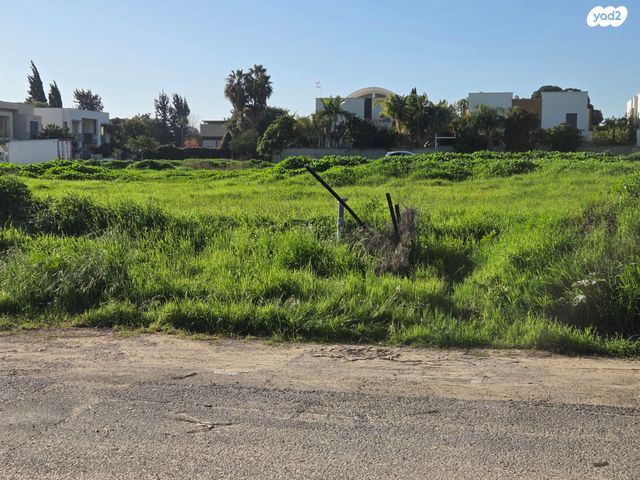 שדרות הציונות 