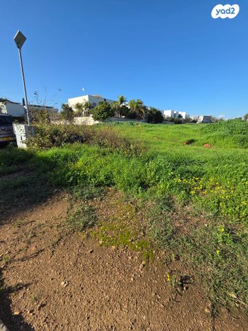 מגרשים, שדרות הציונות, נחלת יהודה, ראשון לציון