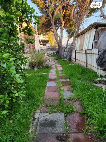 אביגדור עשת 