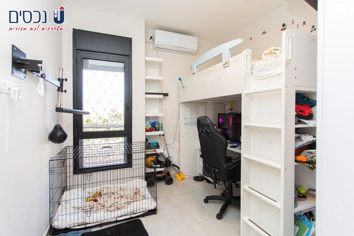 דירה, אחוזה, חיפה