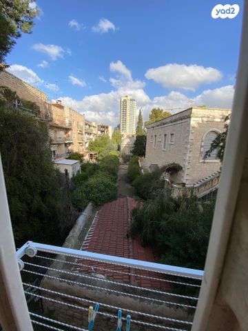 מרדכי נרקיס 