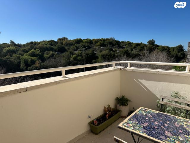 דופלקס, רכסים, העמק, צור הדסה