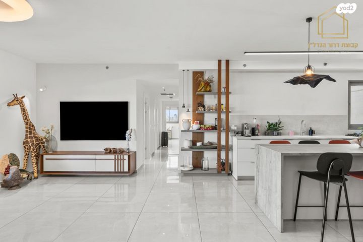 גג/ פנטהאוז