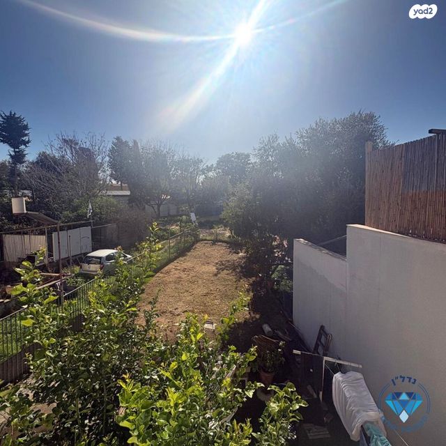 דירה, ירושלים, יד אליעזר, נס ציונה