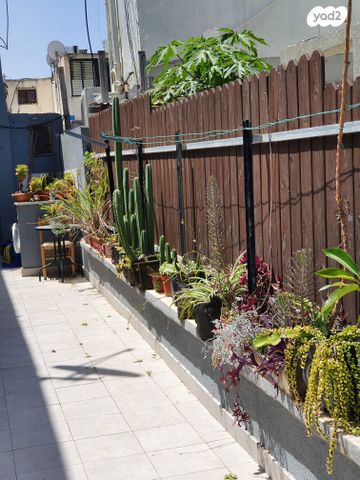 דירת גן, חידושי הרי"ם, צהלון, שיכוני חסכון, תל אביב יפו