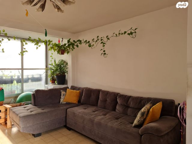 דירה, יעקב פיכמן, ח-501, חולון