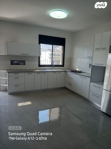 יהודה הנשיא 