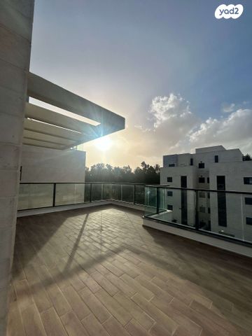 גג/ פנטהאוז, הרובע המערבי, לוד