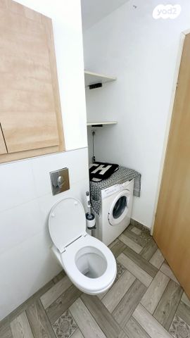 דירה, הפרחים, אשכול, כרמיאל