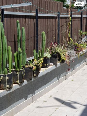 חידושי הרי"ם 