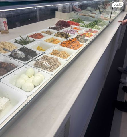 דרך עכו חיפה 