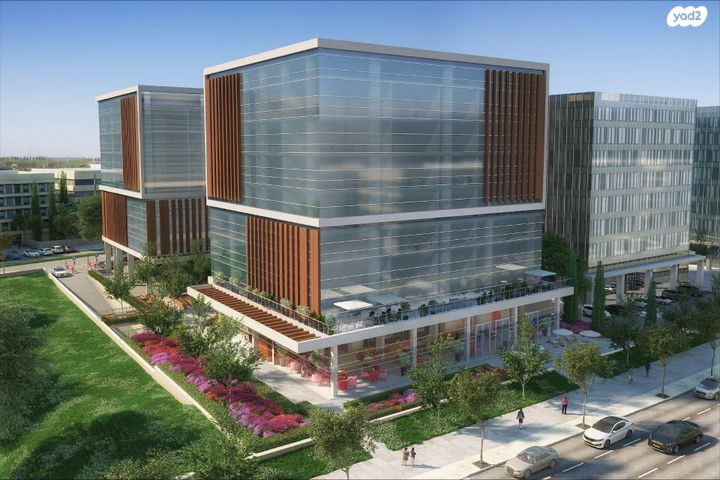 דרך הנפת הדגל 