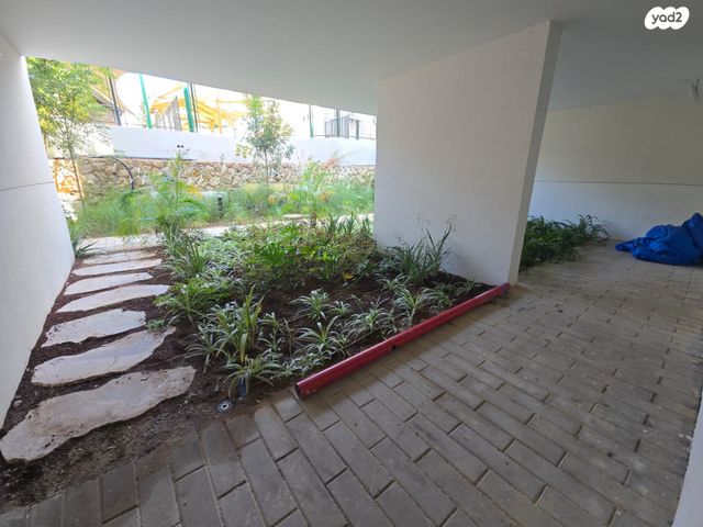 קליניקות, שלומציון המלכה, הצפון החדש - צפון, תל אביב יפו