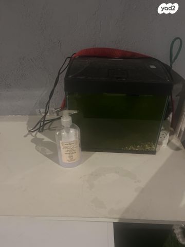 תמונת מודעה - חיות מחמד