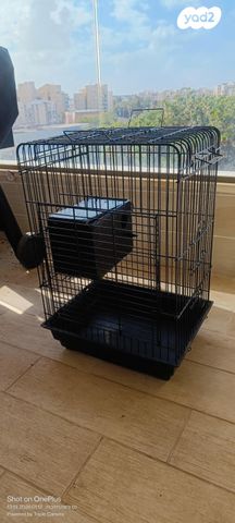 תמונת מודעה - חיות מחמד