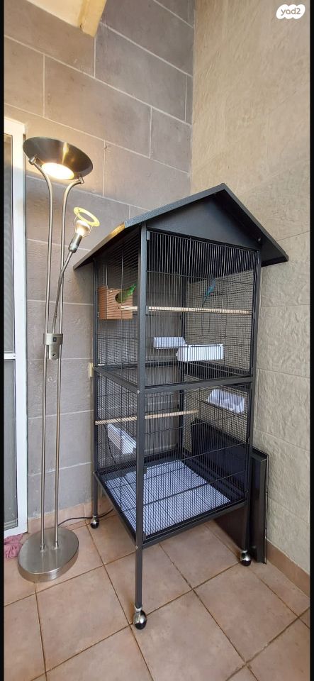 תמונת מודעה - חיות מחמד