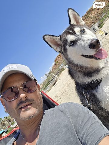 תמונת מודעה - חיות מחמד