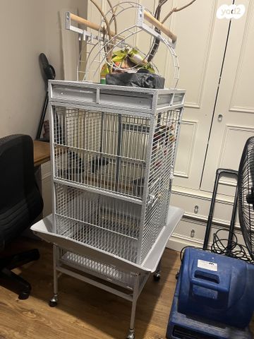 תמונת מודעה - חיות מחמד