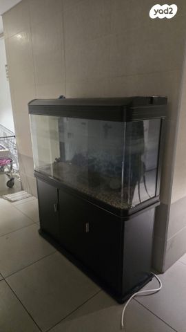 תמונת מודעה - חיות מחמד