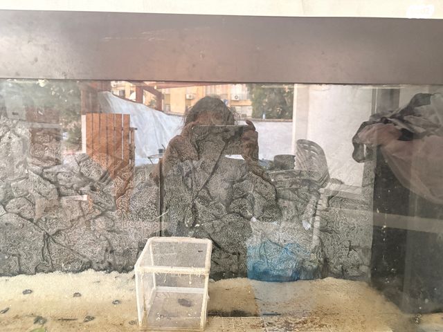 אביזרים | אקווריום