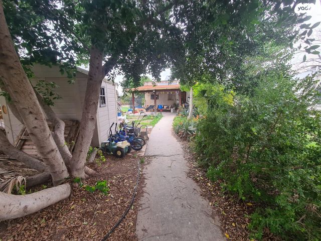 שדרת הראשונים 1