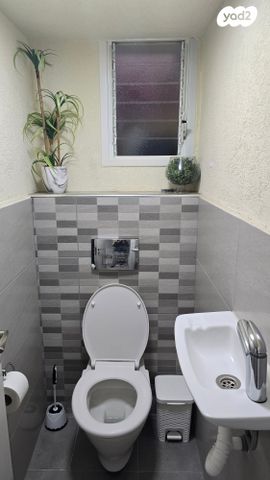 דירה, דוד המלך 19, מלכי ישראל, קרית גת