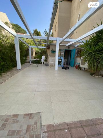 דירת גן, הרקפת 11, עלי