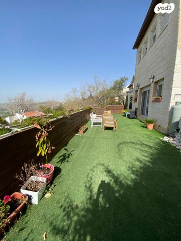 דירת גן, הרקפת 11, עלי