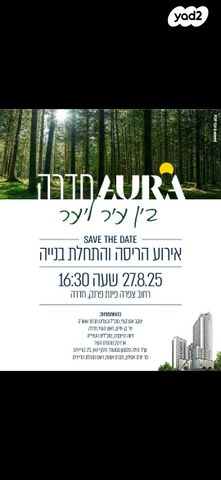 דוד שמעוני 31