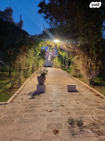 דו משפחתי, זית 46, צופים, צופים