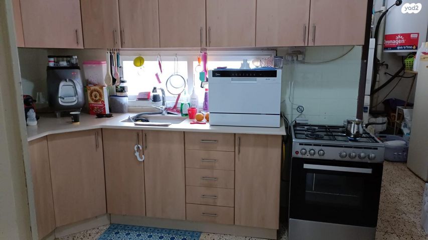 א.ד. גורדון 43