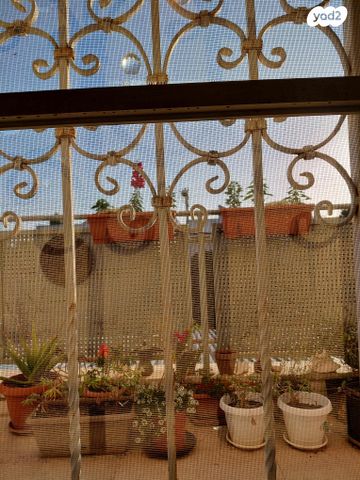 דירה, כורש 3, עמידר, פרדס חנה כרכור