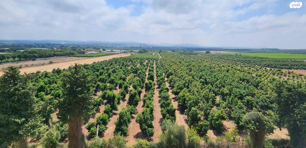 גג/ פנטהאוז, הזמיר 22, נהריה הירוקה, נהריה
