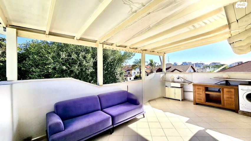 דוד פרישמן 12