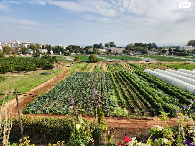 דירה, יהושע בן גמלא 17, שאר העיר, הוד השרון