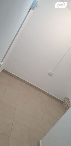 יער ירושלים 10