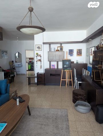 אריה שנקר 28