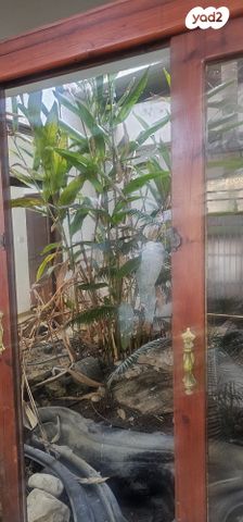 בית פרטי/ קוטג', האלון 4, אורנית, אורנית