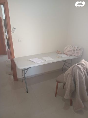 זאב ברנדה 13