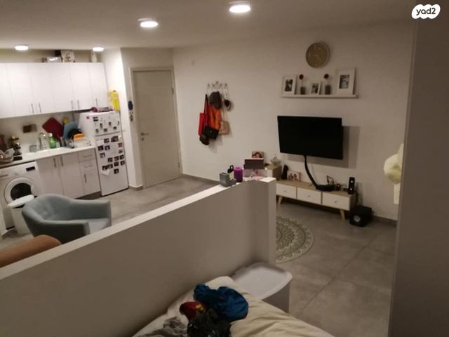 הר גריזים 12