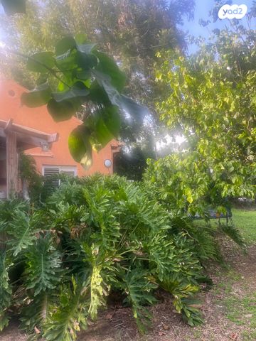 שדרות היוגב 88