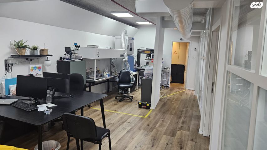 משרדים, האשל 5, שאר העיר, קיסריה