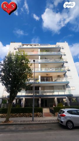 צבי הירשפלד 