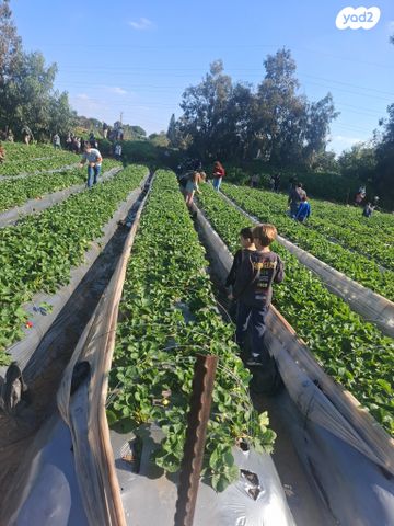 משק חקלאי/ נחלה