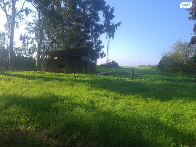 משק חקלאי/ נחלה