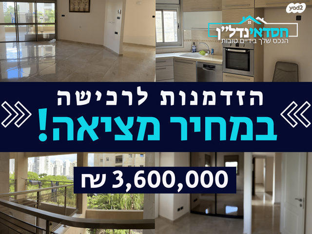 פנחס אילון 5