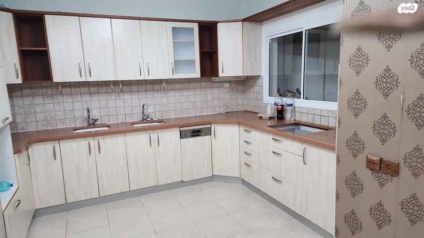 דוד טבצ'ניק 