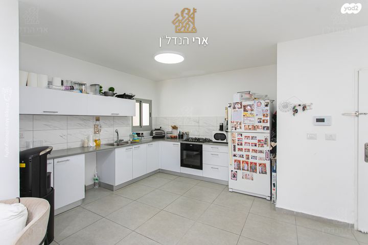 דירה, טירת כרמל