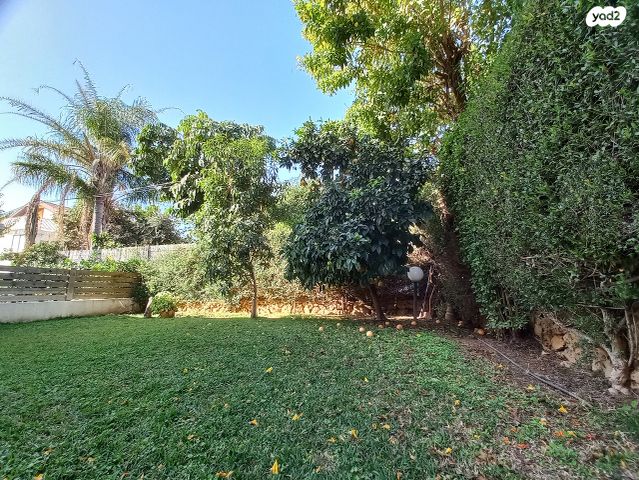 בית פרטי/ קוטג', הדקל, הרצליה